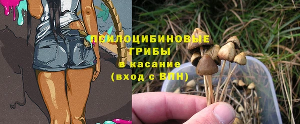 СК Алексеевка